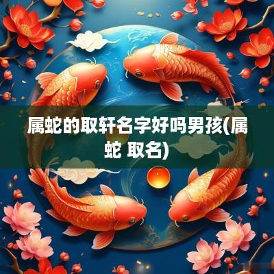 属蛇的取轩名字好吗男孩(属蛇 取名)