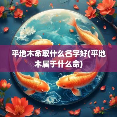 平地木命取什么名字好(平地木属于什么命)