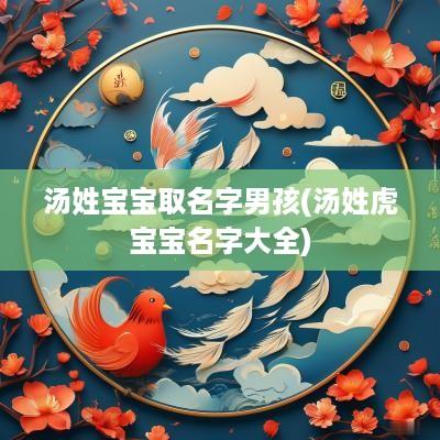 汤姓宝宝取名字男孩(汤姓虎宝宝名字大全)