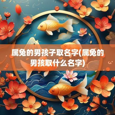 属兔的男孩子取名字(属兔的男孩取什么名字)