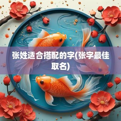 张姓适合搭配的字(张字最佳取名)