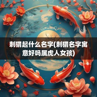 刺猬起什么名字(刺猬名字寓意好吗属虎人女孩)