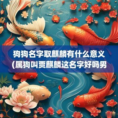 狗狗名字取麒麟有什么意义(属狗叫贾麒麟这名字好吗男孩)