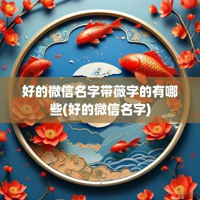 好的微信名字带薇字的有哪些(好的微信名字)