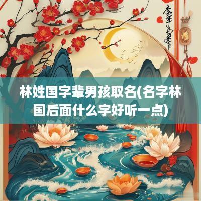 林姓国字辈男孩取名(名字林国后面什么字好听一点)