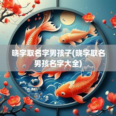 晓字取名字男孩子(晓字取名男孩名字大全)