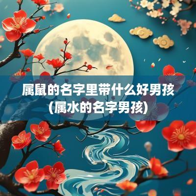 属鼠的名字里带什么好男孩(属水的名字男孩)