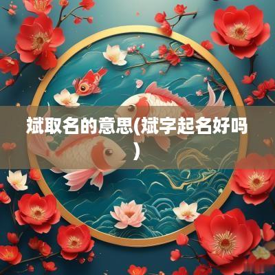 斌取名的意思(斌字起名好吗)