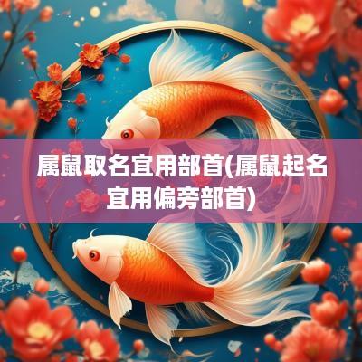 属鼠取名宜用部首(属鼠起名宜用偏旁部首)