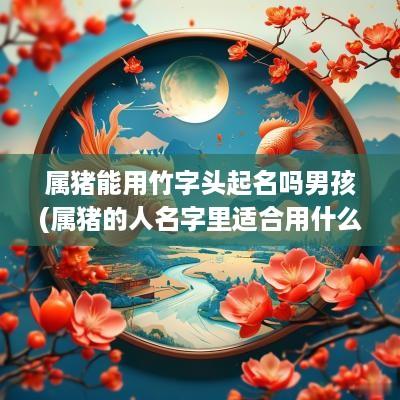 属猪能用竹字头起名吗男孩(属猪的人名字里适合用什么字)