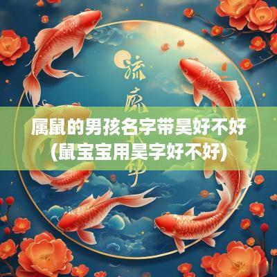 属鼠的男孩名字带昊好不好(鼠宝宝用昊字好不好)