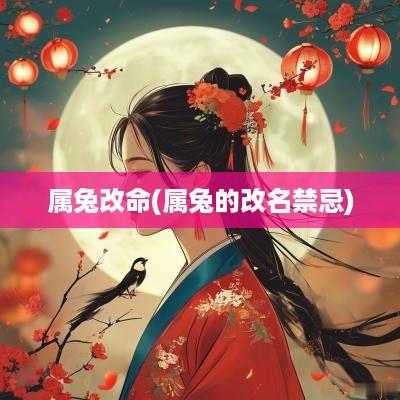 属兔改命(属兔的改名禁忌)