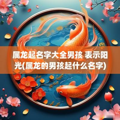 属龙起名字大全男孩 表示阳光(属龙的男孩起什么名字)