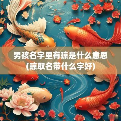 男孩名字里有琼是什么意思(琼取名带什么字好)