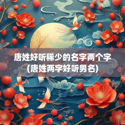 唐姓好听稀少的名字两个字(唐姓两字好听男名)