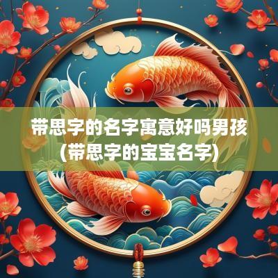 带思字的名字寓意好吗男孩(带思字的宝宝名字)
