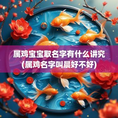 属鸡宝宝取名字有什么讲究(属鸡名字叫晨好不好)