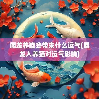 属龙养猫会带来什么运气(属龙人养猫对运气影响)