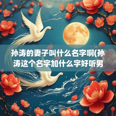 孙涛的妻子叫什么名字啊(孙涛这个名字加什么字好听男孩)