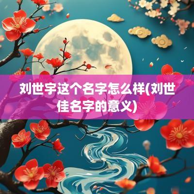 刘世宇这个名字怎么样(刘世佳名字的意义)