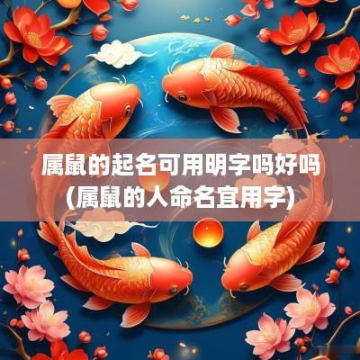 属鼠的起名可用明字吗好吗(属鼠的人命名宜用字)