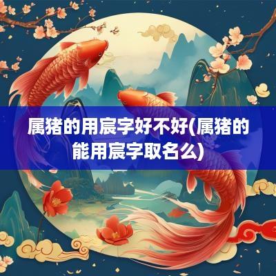 属猪的用宸字好不好(属猪的能用宸字取名么)