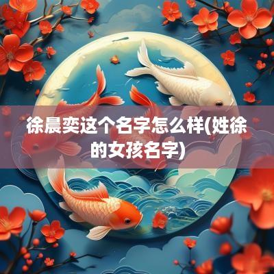 徐晨奕这个名字怎么样(姓徐的女孩名字)
