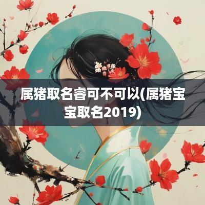 属猪取名睿可不可以(属猪宝宝取名2019)