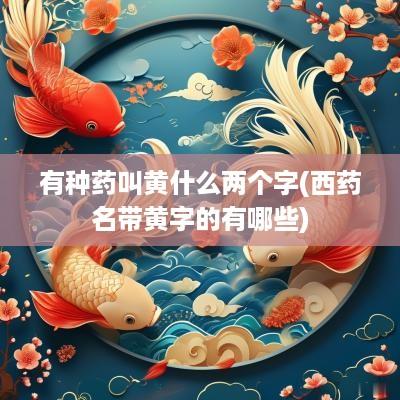 有种药叫黄什么两个字(西药名带黄字的有哪些)