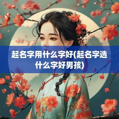 起名字用什么字好(起名字选什么字好男孩)