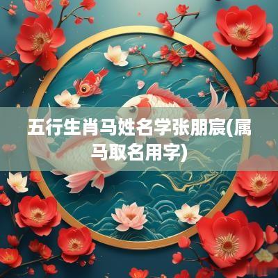 五行生肖马姓名学张朋宸(属马取名用字)