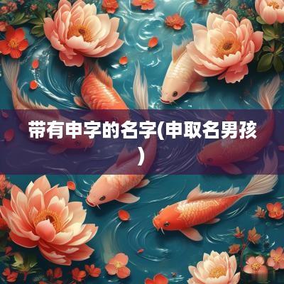 带有申字的名字(申取名男孩)