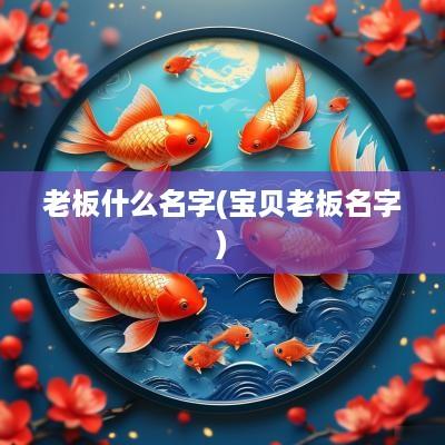 老板什么名字(宝贝老板名字)