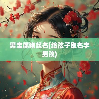 男宝属猪起名(给孩子取名字男孩)