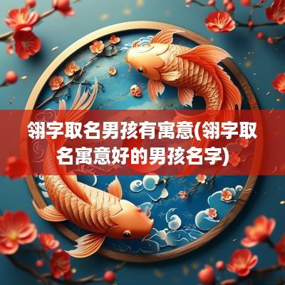 翎字取名男孩有寓意(翎字取名寓意好的男孩名字)