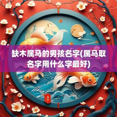缺木属马的男孩名字(属马取名字用什么字最好)