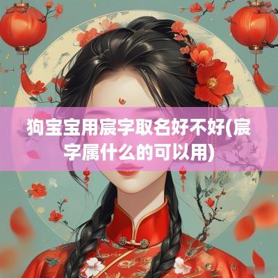 狗宝宝用宸字取名好不好(宸字属什么的可以用)