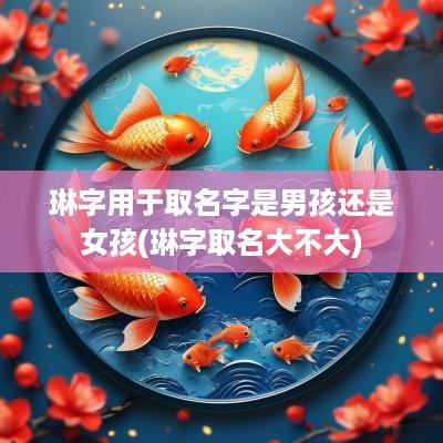 琳字用于取名字是男孩还是女孩(琳字取名大不大)