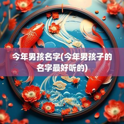 今年男孩名字(今年男孩子的名字最好听的)