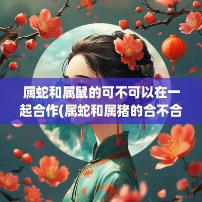 属蛇和属鼠的可不可以在一起合作(属蛇和属猪的合不合)