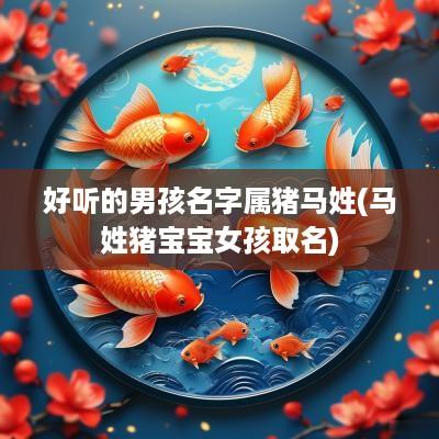 好听的男孩名字属猪马姓(马姓猪宝宝女孩取名)