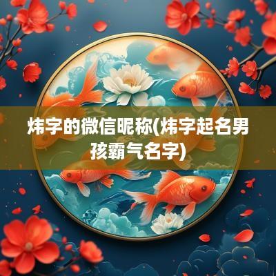 炜字的微信昵称(炜字起名男孩霸气名字)