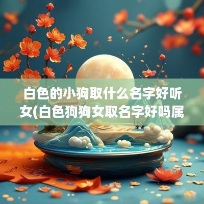 白色的小狗取什么名字好听女(白色狗狗女取名字好吗属虎人)