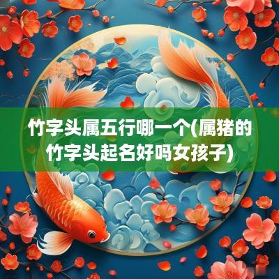 竹字头属五行哪一个(属猪的竹字头起名好吗女孩子)