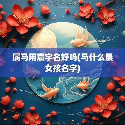 属马用宸字名好吗(马什么晨女孩名字)