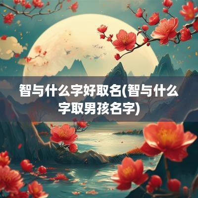 智与什么字好取名(智与什么字取男孩名字)