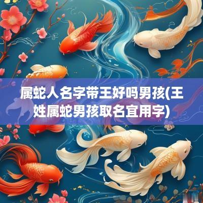属蛇人名字带王好吗男孩(王姓属蛇男孩取名宜用字)