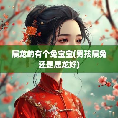 属龙的有个兔宝宝(男孩属兔还是属龙好)