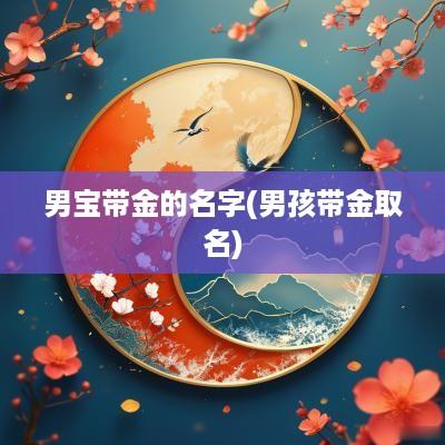 男宝带金的名字(男孩带金取名)