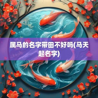 属马的名字带田不好吗(马天起名字)
